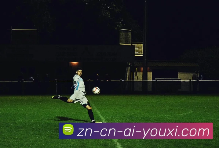 爱游戏服务体系